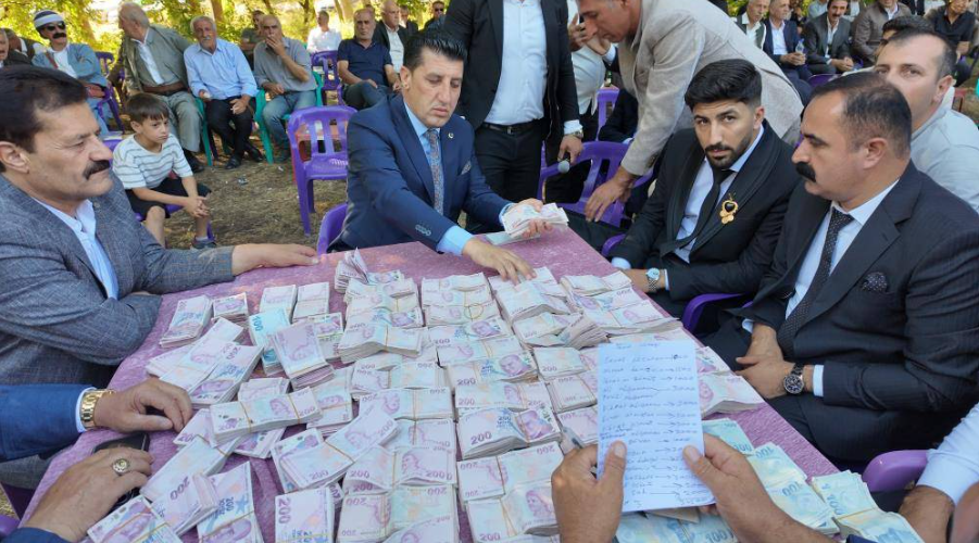 الليرة التركية أثناء جمعها الليرة التركية أثناء جمعها